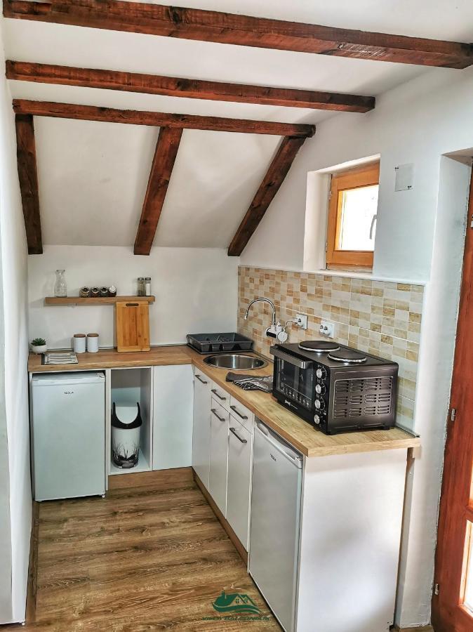 Villa Balconlux - Zavojsko Jezero, ピロト エクステリア 写真
