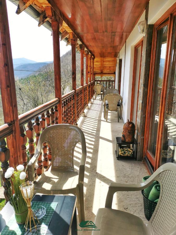 Villa Balconlux - Zavojsko Jezero, ピロト エクステリア 写真