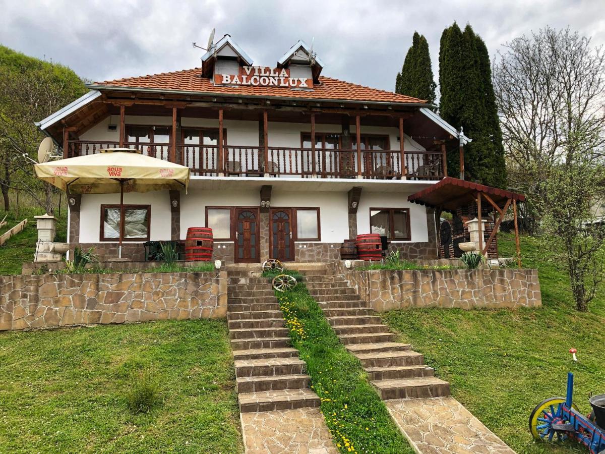 Villa Balconlux - Zavojsko Jezero, ピロト エクステリア 写真